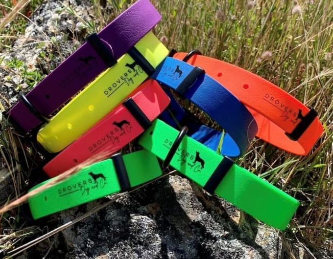 Dog Belt