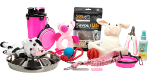 Toy Gift